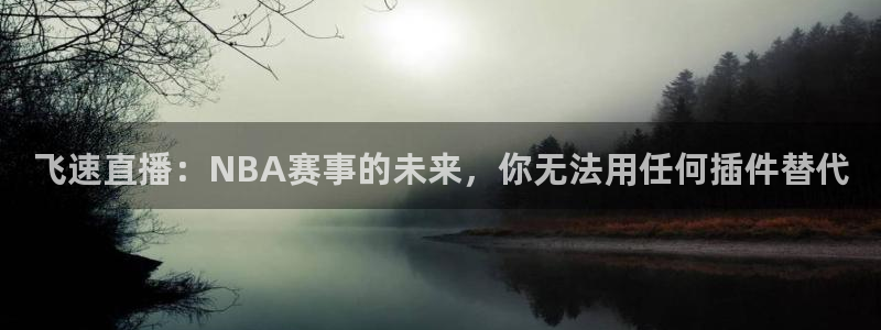 飞速直播：NBA赛事的未来，你无法用任何插件替代